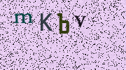 Visual Confirmation Security Code