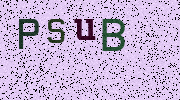 Visual Confirmation Security Code