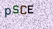 Visual Confirmation Security Code