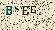 Visual Confirmation Security Code