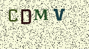 Visual Confirmation Security Code