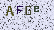 Visual Confirmation Security Code