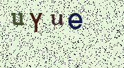 Visual Confirmation Security Code